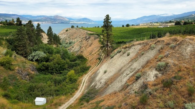 20190705_100701_LUCiD