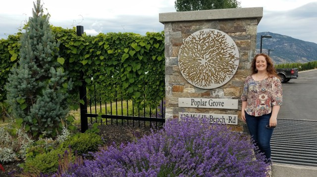 20190705_112703_LUCiD