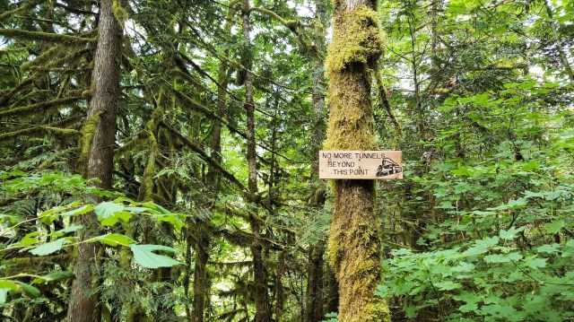 20190707_101918_LUCiD