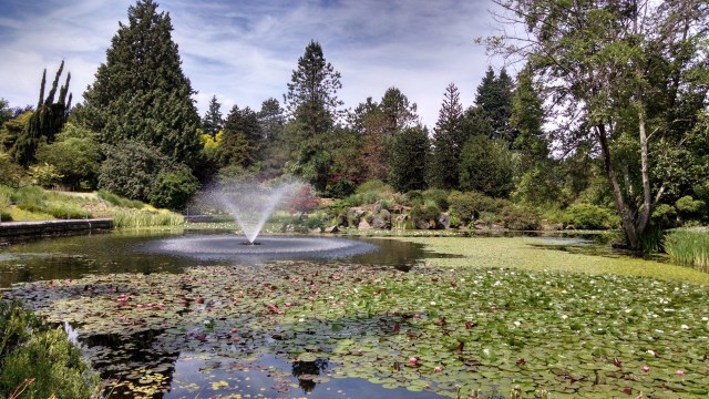 IMG_20190612_114318769_HDR_LUCiD