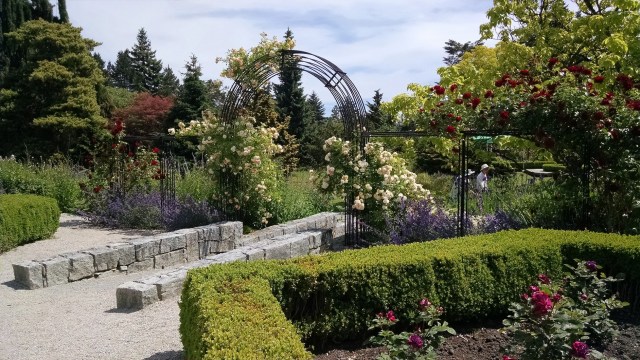 IMG_20190612_114802693_LUCiD