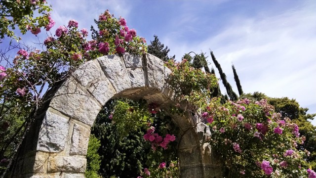 IMG_20190612_114917641_LUCiD