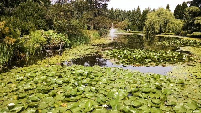 IMG_20190612_120721567_LUCiD