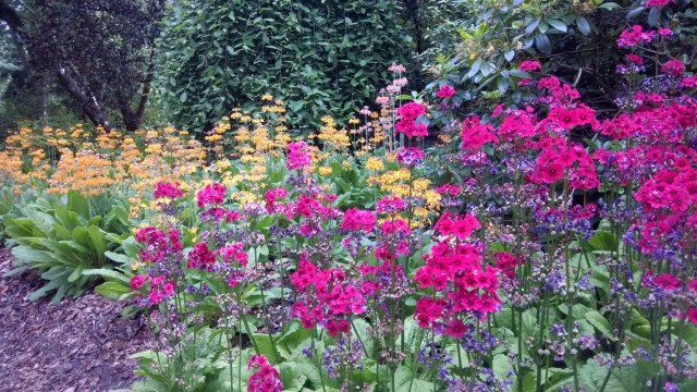 IMG_20190612_123642268_LUCiD