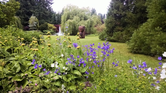 IMG_20190612_124301073_LUCiD