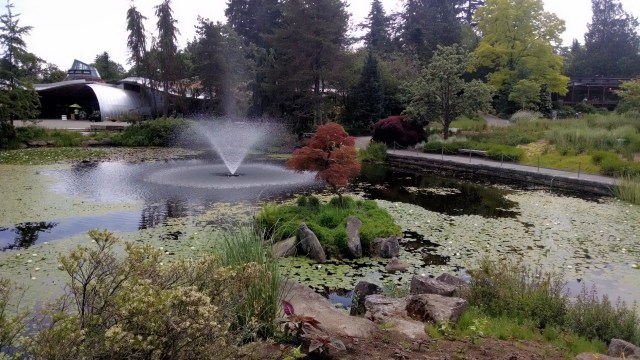 IMG_20190612_124550651_LUCiD