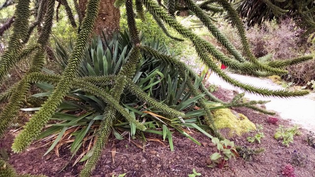 IMG_20190612_124634052_LUCiD