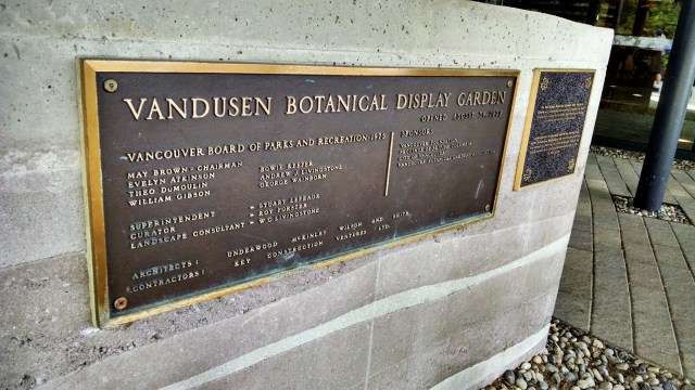 IMG_20190612_130143014_HDR_LUCiD