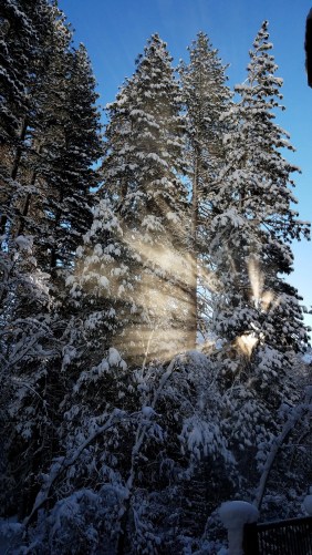 20190218_081817_LUCiD