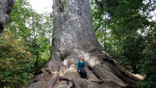 20190901_154928_LUCiD