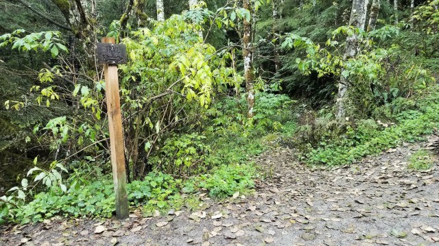 20190914_085953_LUCiD