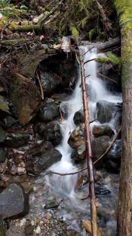 20191228_092517_LUCiD