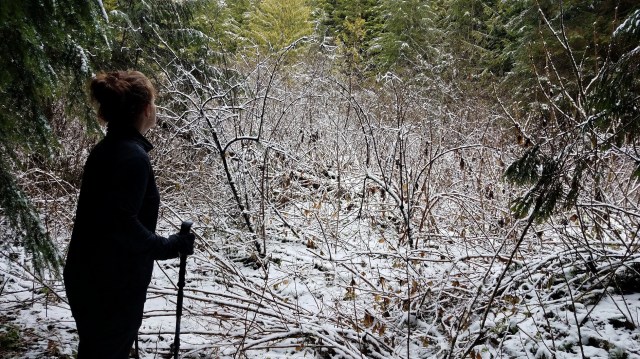 20191228_105931_LUCiD