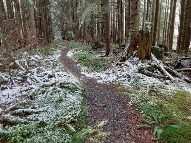 20191228_112024_LUCiD