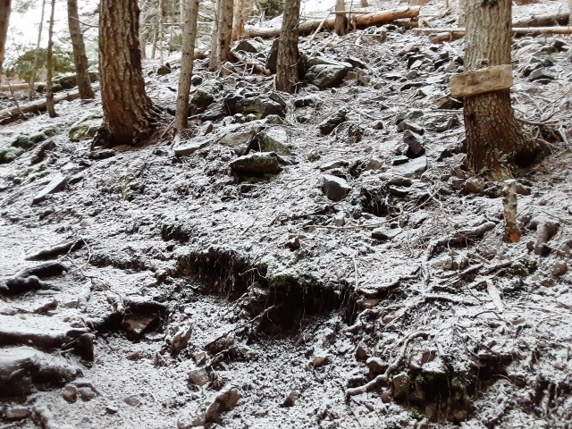 20200104_095826_LUCiD