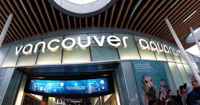 20200118_145711_LUCiD