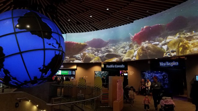 20200118_151416_LUCiD