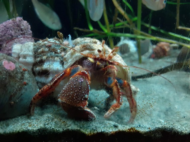 20200118_152135_LUCiD