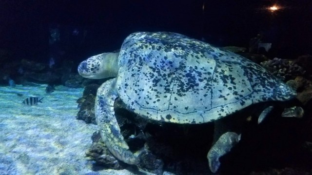 20200118_160748_LUCiD