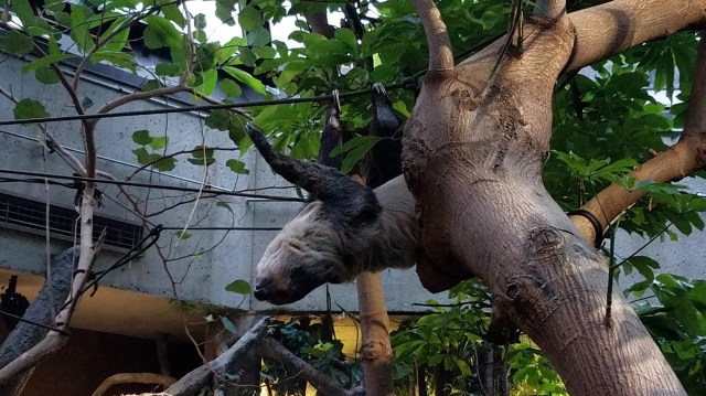 20200118_162236_LUCiD