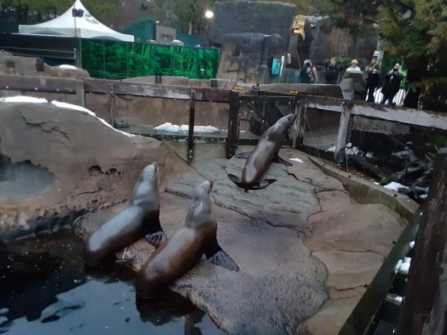 20200118_163933_LUCiD