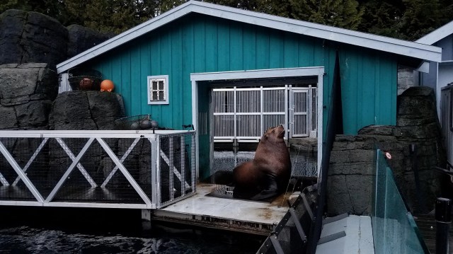 20200118_164221_LUCiD