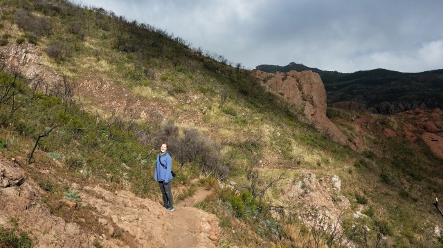 20200209_095208_LUCiD