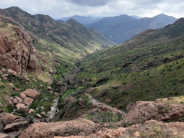 20200209_101035_LUCiD