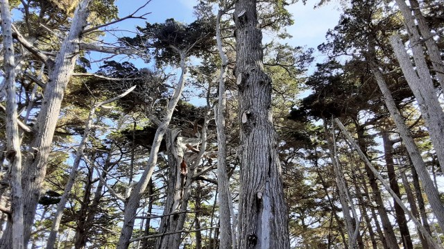 20200217_111414_LUCiD